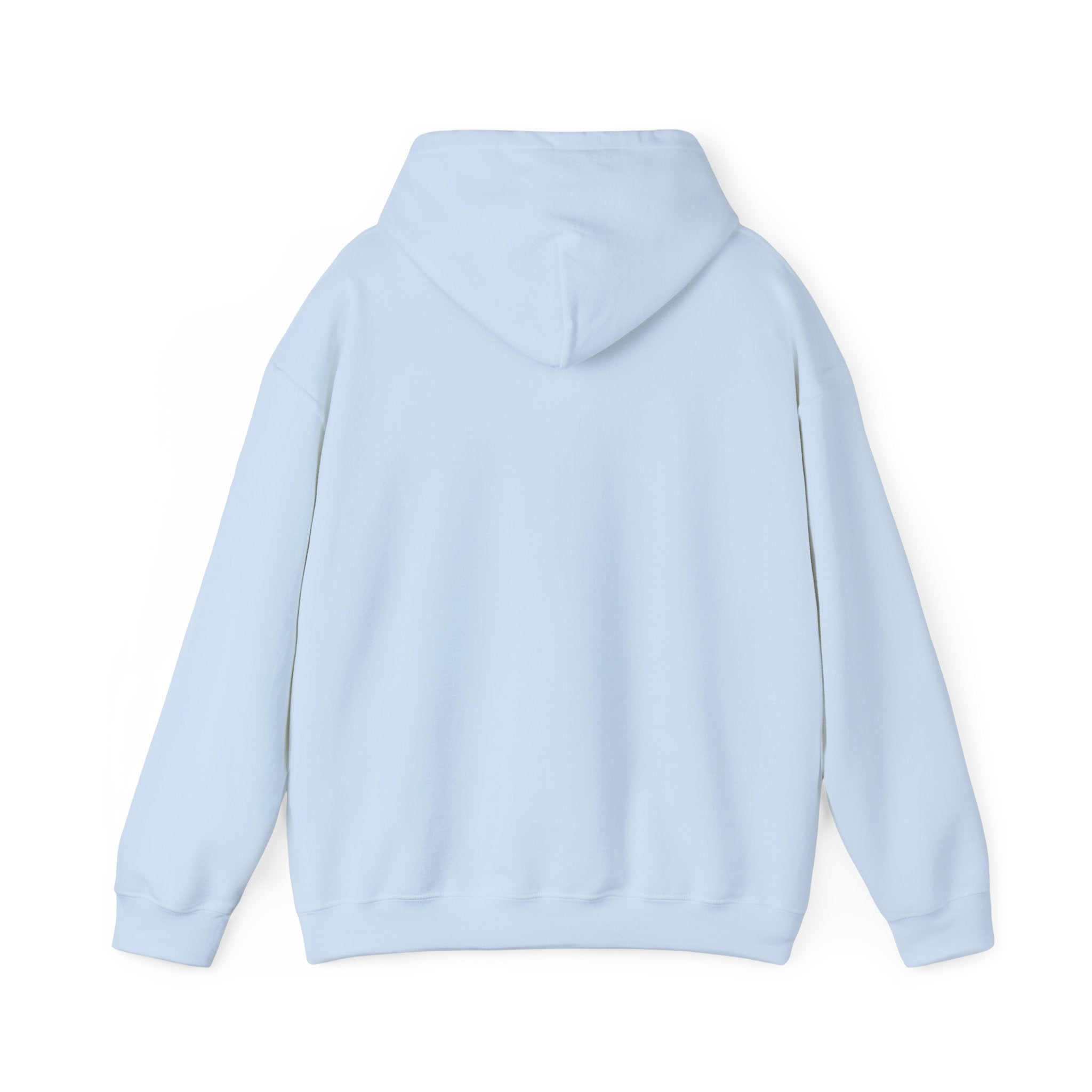 James Co. Bear Hoodie – Minimal Cute Logo Pullover